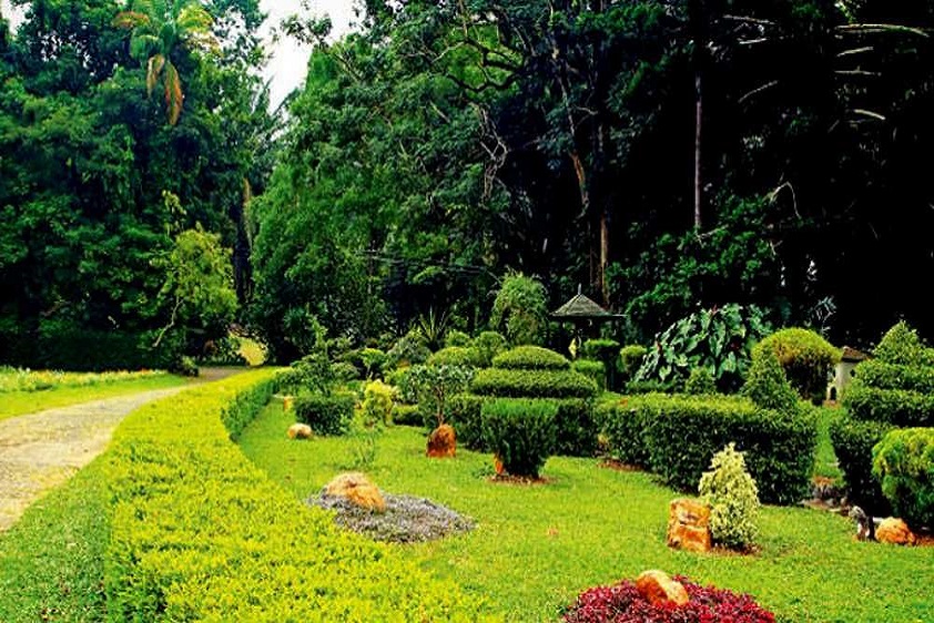 Henarathgoda Botanical Garden | Gampaha